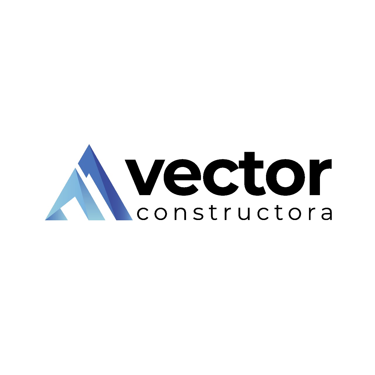 VECTOR CONSTRUCTORA